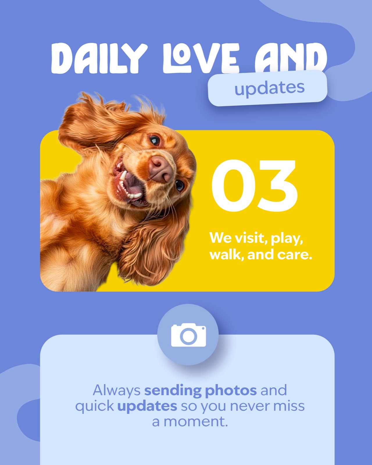 LUI Pet Care digital experience case study visual